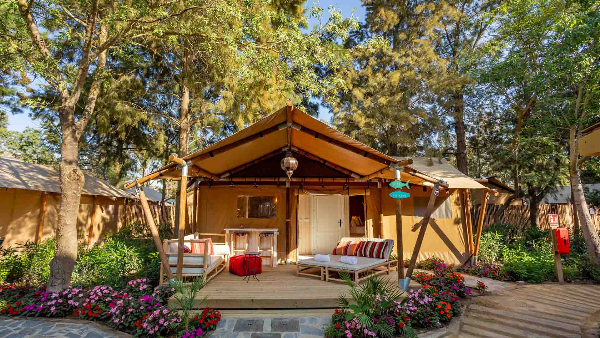 chambre dunas resort